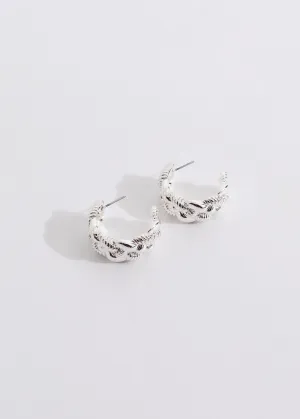 Envy Earrings Silver