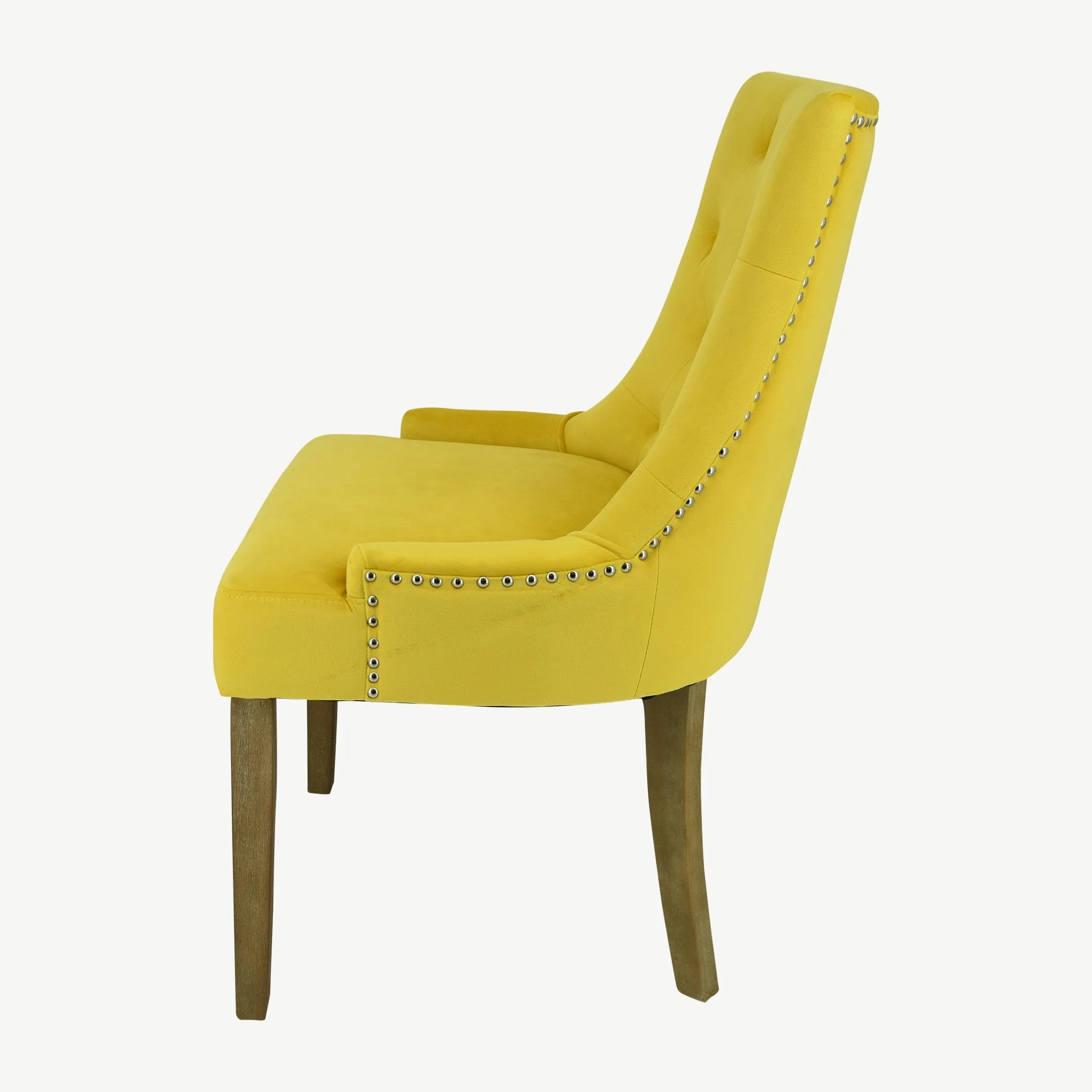 Sandy Dining Chairs Gold Velvet